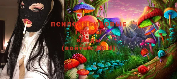 2c-b Алзамай