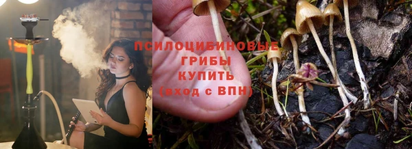 2c-b Алзамай