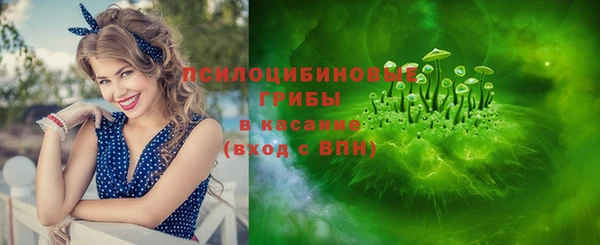 2c-b Алзамай