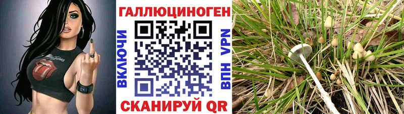 Псилоцибиновые грибы ЛСД  Покров 